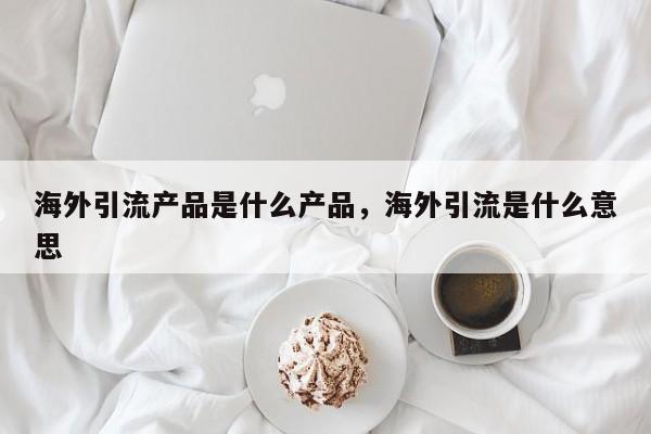 海外引流产品是什么产品，海外引流是什么意思
