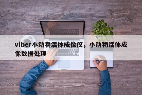 viber小动物活体成像仪,小动物活体成像数据处理