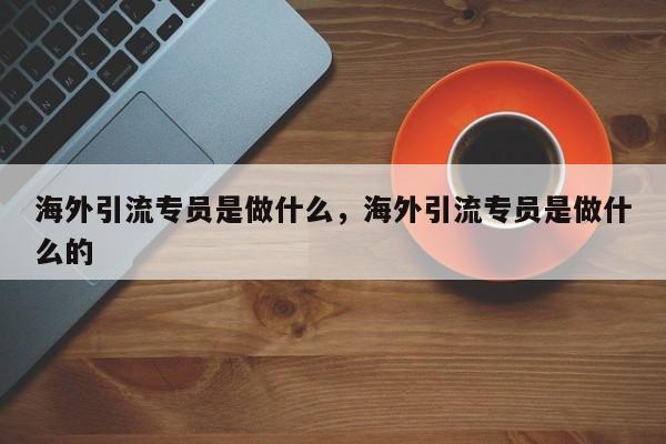 海外引流专员是做什么,海外引流专员是做什么的