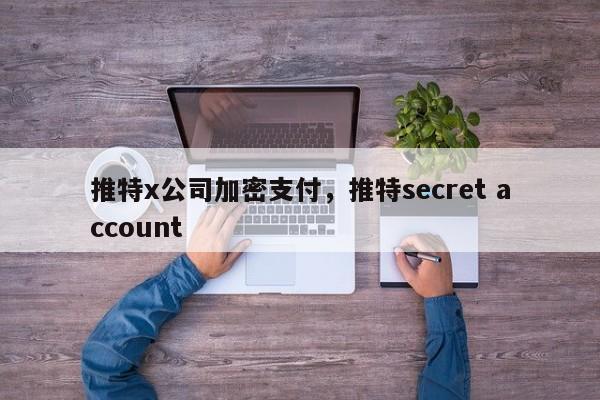 推特x公司加密支付,推特secret account