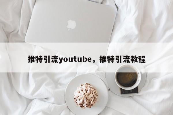 推特引流youtube,推特引流教程