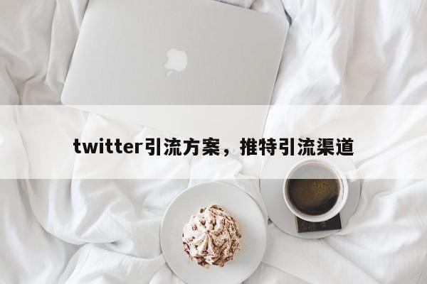 twitter引流方案，推特引流渠道