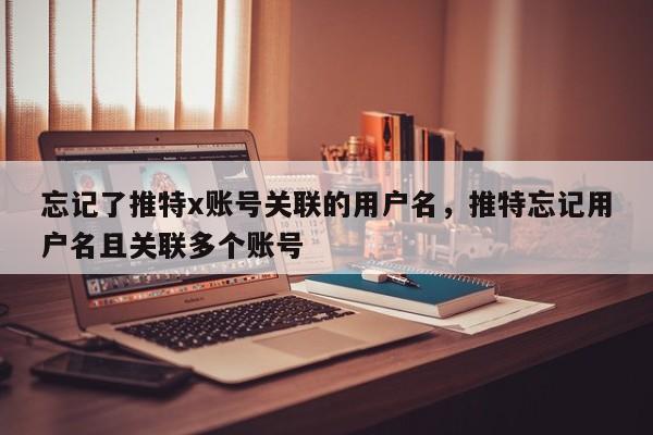 忘记了推特x账号关联的用户名，推特忘记用户名且关联多个账号