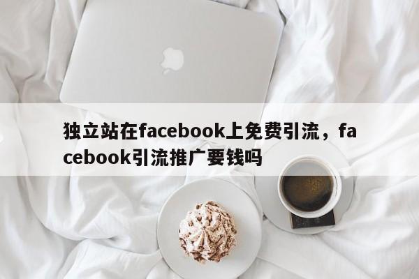 独立站在facebook上免费引流,facebook引流推广要钱吗