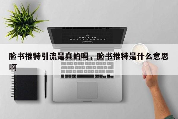 脸书推特引流是真的吗，脸书推特是什么意思啊