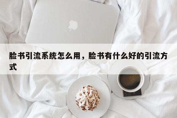脸书引流系统怎么用,脸书有什么好的引流方式