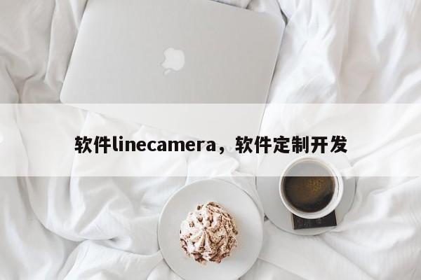 软件linecamera，软件定制开发