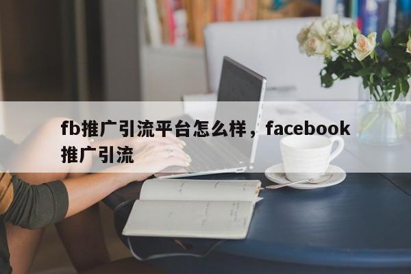 fb推广引流平台怎么样,facebook推广引流