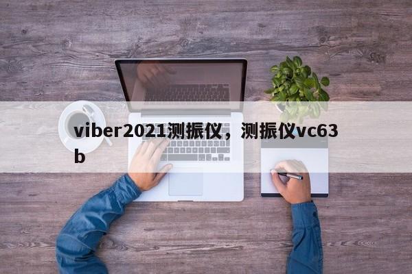 viber2021测振仪,测振仪vc63b