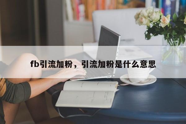 fb引流加粉,引流加粉是什么意思