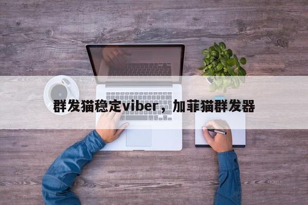 群发猫稳定viber,加菲猫群发器
