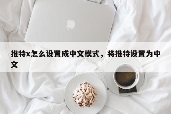 推特x怎么设置成中文模式,将推特设置为中文