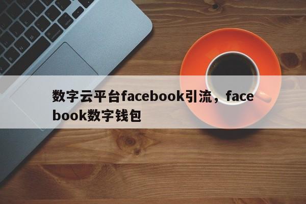 数字云平台facebook引流,facebook数字钱包