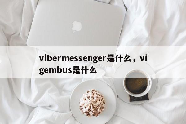 vibermessenger是什么,vigembus是什么