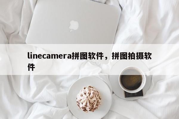 linecamera拼图软件,拼图拍摄软件