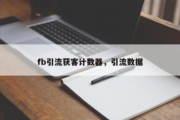 fb引流获客计数器,引流数据
