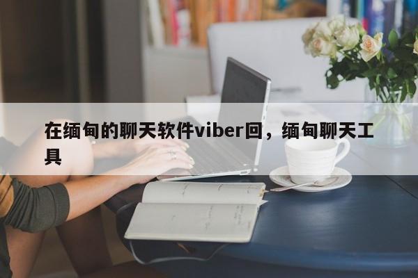 在缅甸的聊天软件viber回,缅甸聊天工具