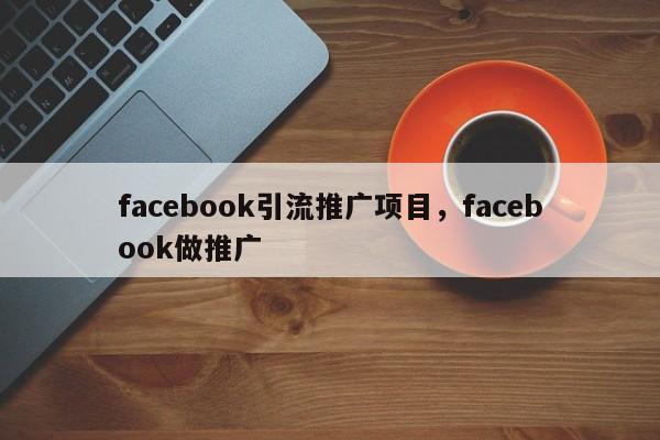 facebook引流推广项目,facebook做推广