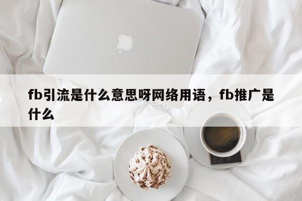 fb引流是什么意思呀网络用语,fb推广是什么