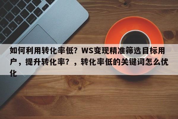 如何利用转化率低？WS变现精准筛选目标用户，提升转化率？，转化率低的关键词怎么优化