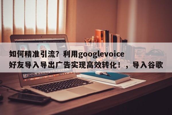 如何精准引流?利用googlevoice好友导入导出广告实现高效转化!,导入谷歌