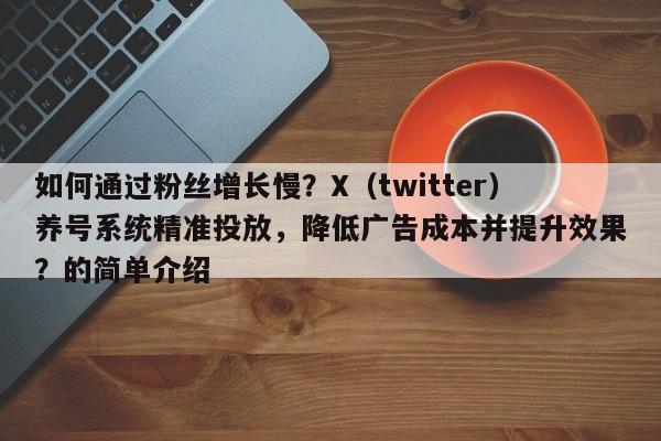 如何通过粉丝增长慢？X（twitter）养号系统精准投放，降低广告成本并提升效果？的简单介绍
