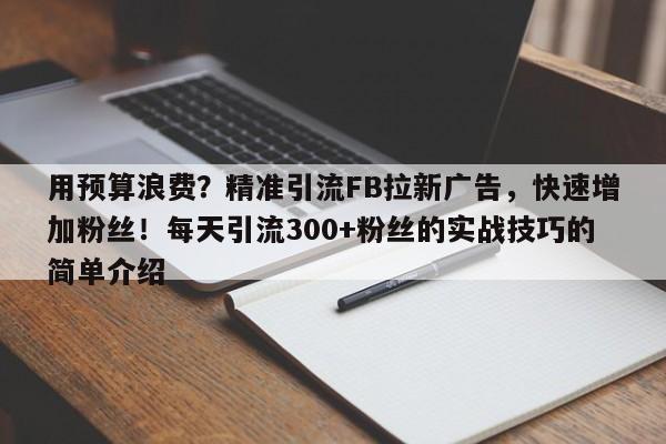 用预算浪费？精准引流FB拉新广告，快速增加粉丝！每天引流300+粉丝的实战技巧的简单介绍