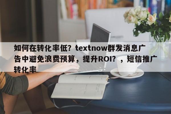 如何在转化率低？textnow群发消息广告中避免浪费预算，提升ROI？，短信推广转化率