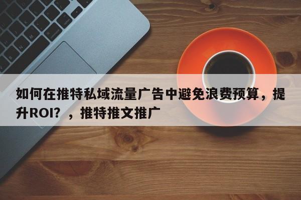如何在推特私域流量广告中避免浪费预算，提升ROI？，推特推文推广