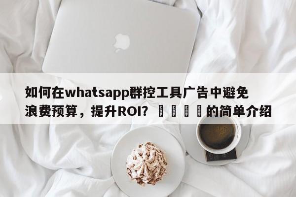 如何在whatsapp群控工具广告中避免浪费预算，提升ROI？📈的简单介绍