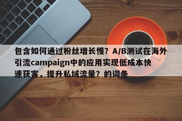 包含如何通过粉丝增长慢？A/B测试在海外引流campaign中的应用实现低成本快速获客，提升私域流量？的词条