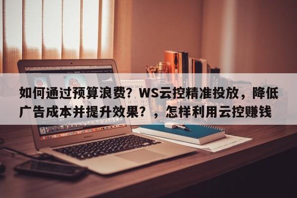 如何通过预算浪费？WS云控精准投放，降低广告成本并提升效果？，怎样利用云控赚钱