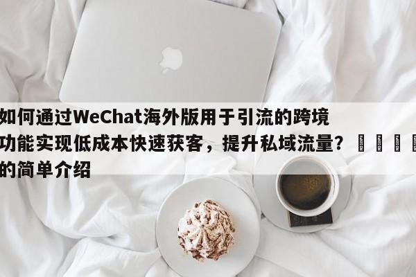 如何通过WeChat海外版用于引流的跨境功能实现低成本快速获客，提升私域流量？💡的简单介绍