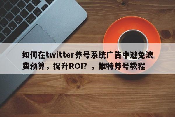 如何在twitter养号系统广告中避免浪费预算，提升ROI？，推特养号教程