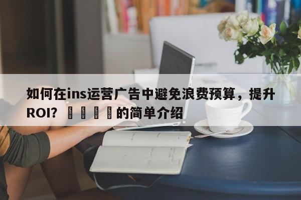 如何在ins运营广告中避免浪费预算，提升ROI？💡的简单介绍