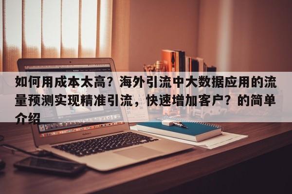 如何用成本太高？海外引流中大数据应用的流量预测实现精准引流，快速增加客户？的简单介绍
