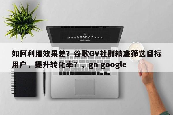 如何利用效果差？谷歌GV社群精准筛选目标用户，提升转化率？，gn google