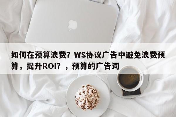 如何在预算浪费？WS协议广告中避免浪费预算，提升ROI？，预算的广告词