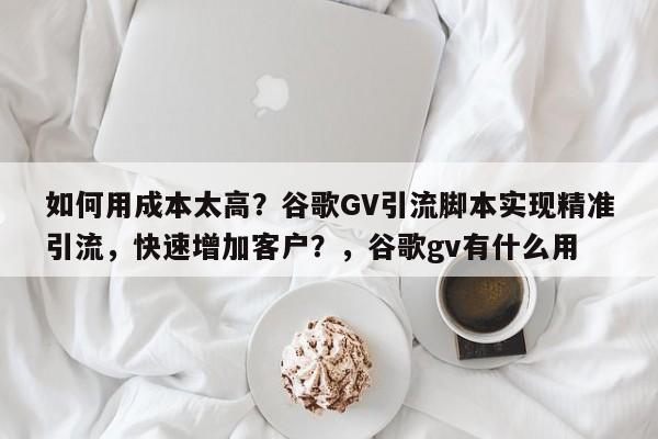 如何用成本太高？谷歌GV引流脚本实现精准引流，快速增加客户？，谷歌gv有什么用