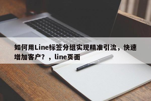 如何用Line标签分组实现精准引流，快速增加客户？，line页面