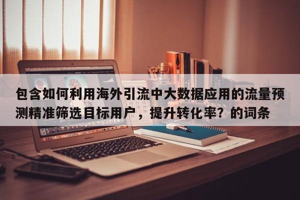 包含如何利用海外引流中大数据应用的流量预测精准筛选目标用户，提升转化率？的词条