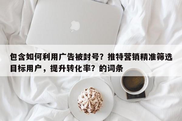 包含如何利用广告被封号？推特营销精准筛选目标用户，提升转化率？的词条