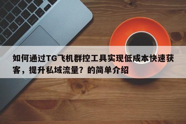 如何通过TG飞机群控工具实现低成本快速获客，提升私域流量？的简单介绍