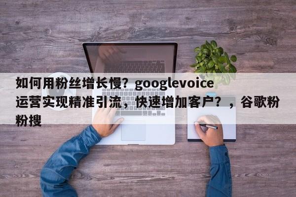 如何用粉丝增长慢？googlevoice运营实现精准引流，快速增加客户？，谷歌粉粉搜