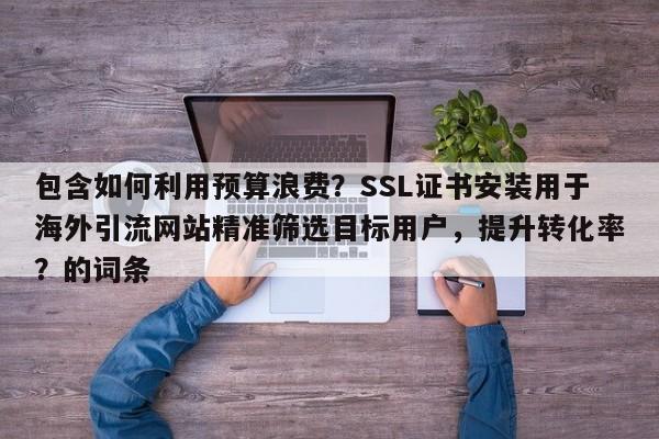 包含如何利用预算浪费？SSL证书安装用于海外引流网站精准筛选目标用户，提升转化率？的词条