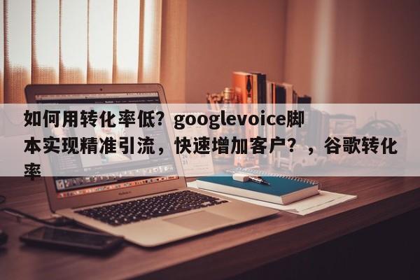 如何用转化率低？googlevoice脚本实现精准引流，快速增加客户？，谷歌转化率
