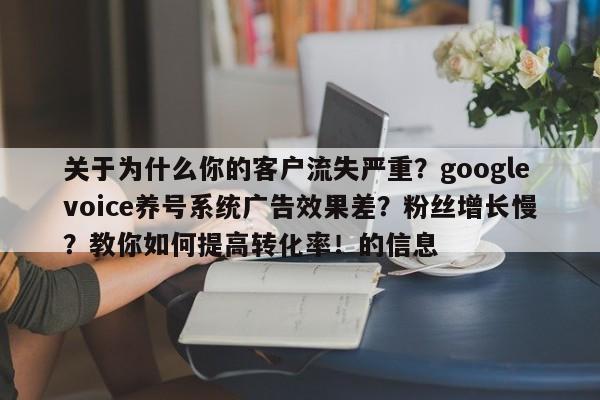 关于为什么你的客户流失严重?googlevoice养号系统广告效果差?粉丝增长慢?教你如何提高转化率!的信息