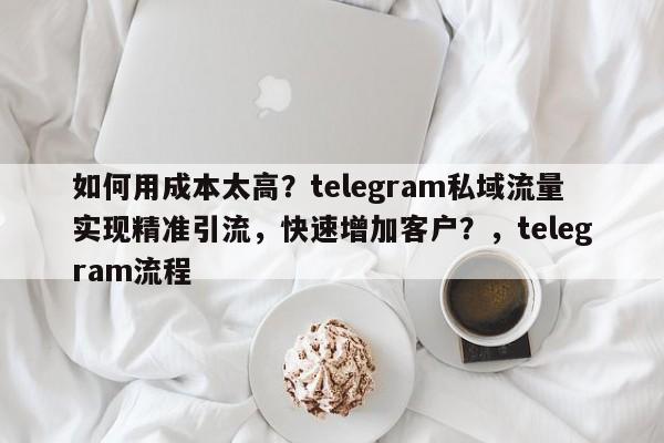 如何用成本太高？telegram私域流量实现精准引流，快速增加客户？，telegram流程