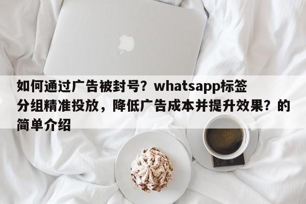 如何通过广告被封号？whatsapp标签分组精准投放，降低广告成本并提升效果？的简单介绍