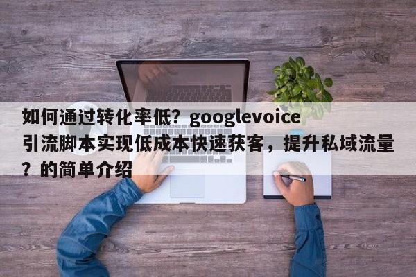 如何通过转化率低？googlevoice引流脚本实现低成本快速获客，提升私域流量？的简单介绍